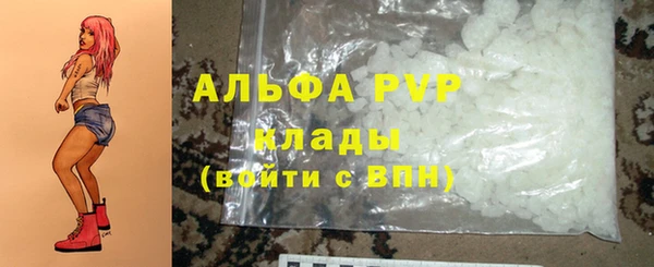 PSILOCYBIN Балахна