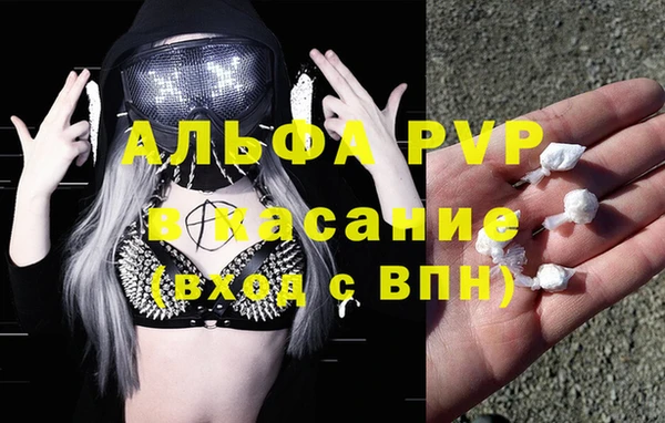 PSILOCYBIN Балахна