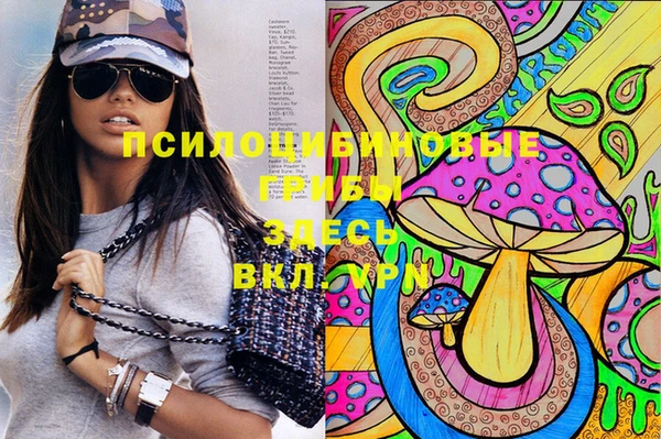 PSILOCYBIN Баксан