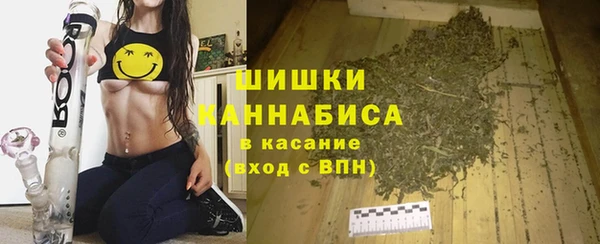 PSILOCYBIN Баксан